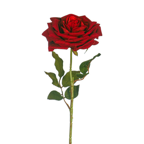 Medium Size Single Stem Red Rose