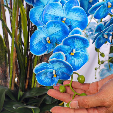 Natural Look Orchid Arrangements Blue