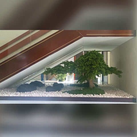 Bonsai Arrangement for Home Decor