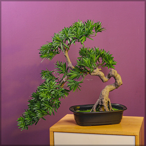 Fake bonsai pine plant for low-maintenance spaces