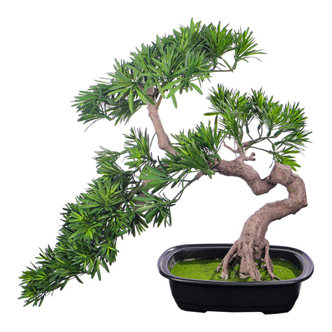 Faux bonsai pine tree for elegant spaces