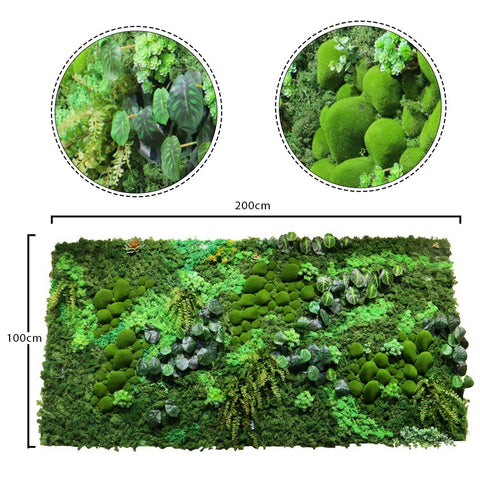 Botanical Greenery Moss Wall Art Home Decor