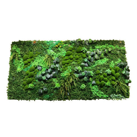 Botanical Greenery Moss Wall Art Home Decor