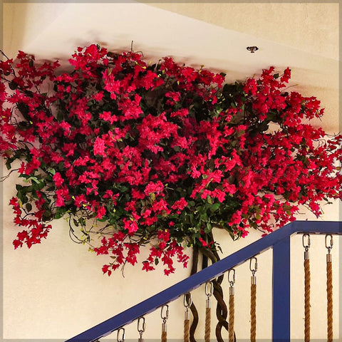 Bougainvillea Flowers Wall to Ceiling Decoration