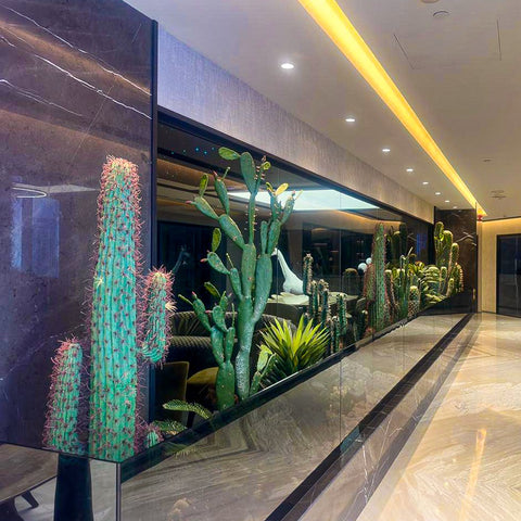 21pcs Corridor Cactus Plant Arrangement