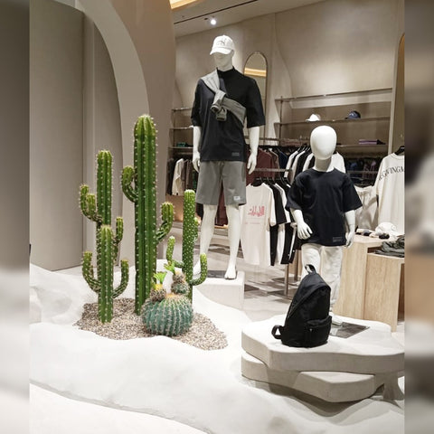 Cactus Decoration for Shop Display