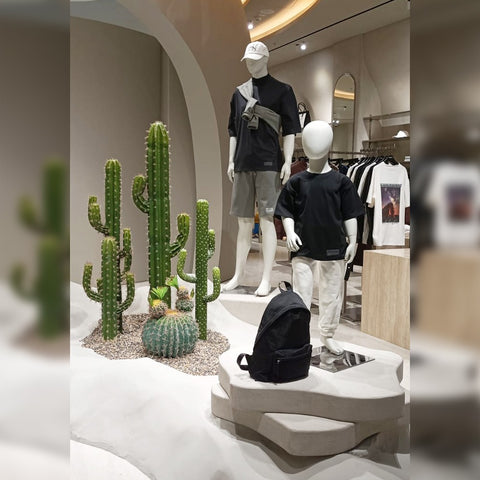 Cactus Decoration for Shop Display