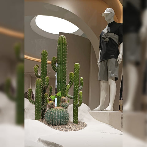 Cactus Decoration for Shop Display