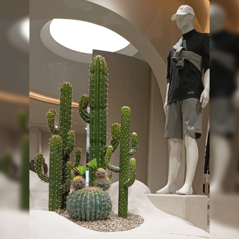 Cactus Decoration for Shop Display