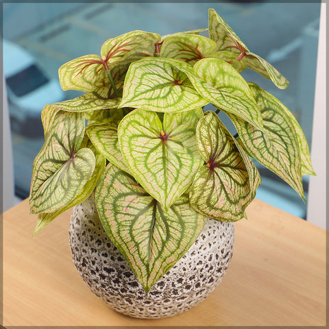 Fake Caladium Plant Leaves