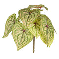 Fake caladium plant leaves for decor