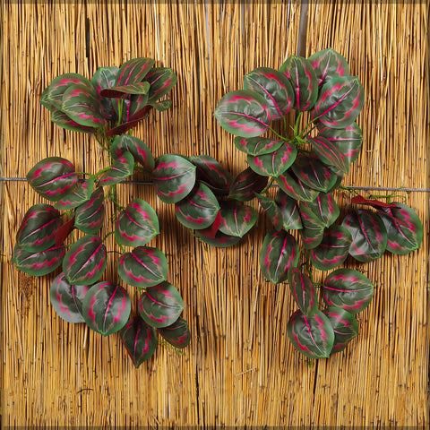 2pcs Hanging Calathea Orbifolia Leaves