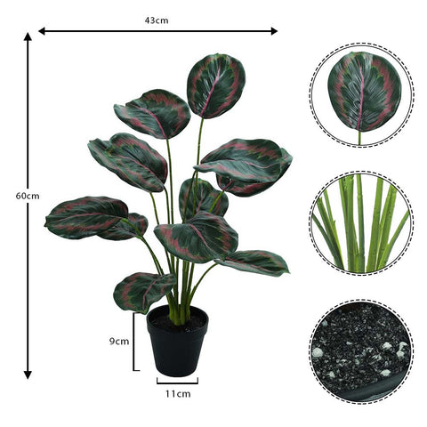 Artificial Calathea Roseopicta Plant