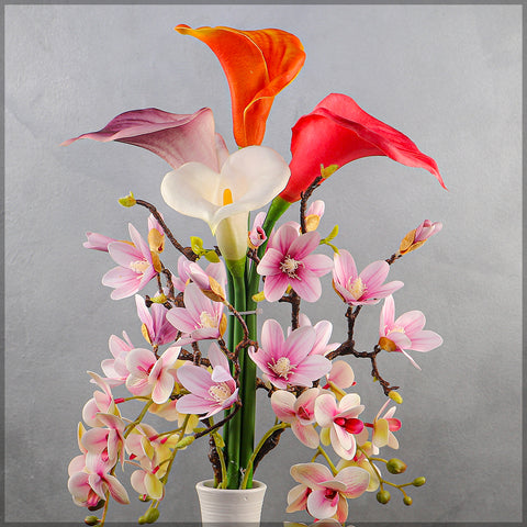 Anthurium Flower Arrangements with Vase