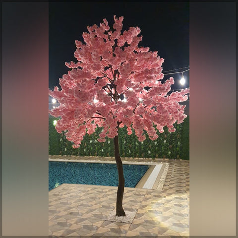 Backyard Plant Decoration Using Nearly Natural Cherry Blossom Plant 3.2 m High and 5M high Palm Tree