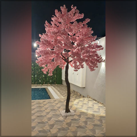 Backyard Plant Decoration Using Nearly Natural Cherry Blossom Plant 3.2 m High and 5M high Palm Tree