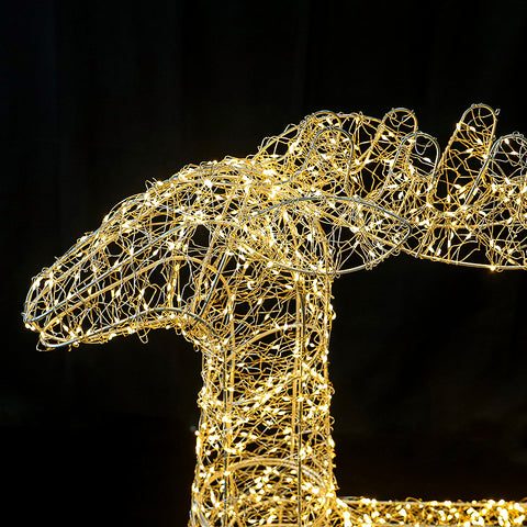 Christmas Reindeer with Light