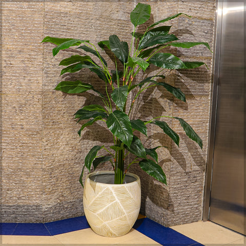 Designer plant pot for indoor spaces UAE