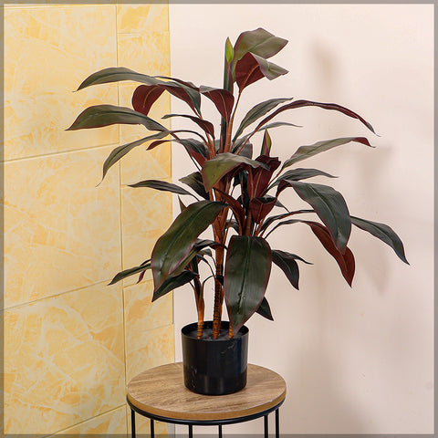 Artificial Cordyline Fruticosa Plant for indoor decor