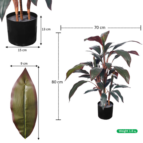 Fake cordyline plant for eco-friendly styling