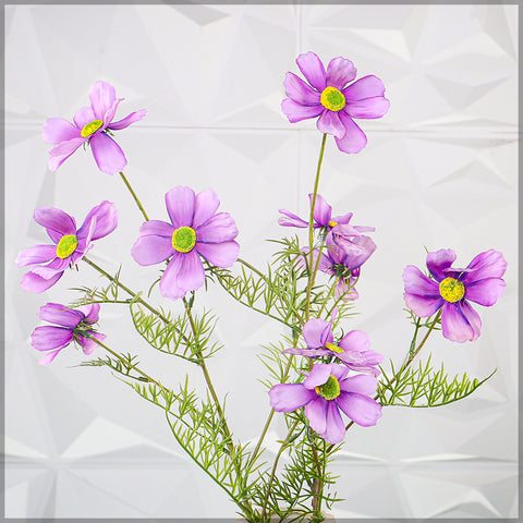 Artificial Silk Cosmos Flowers