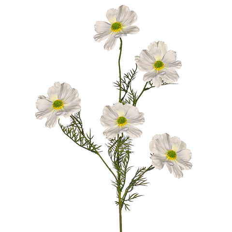 Artificial Silk Cosmos Flowers