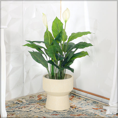 Elegant footed concrete pot for home decor