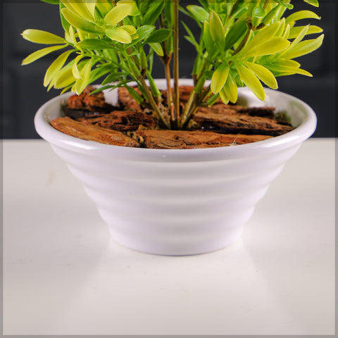 Creative plastic planters for indoor plant displays