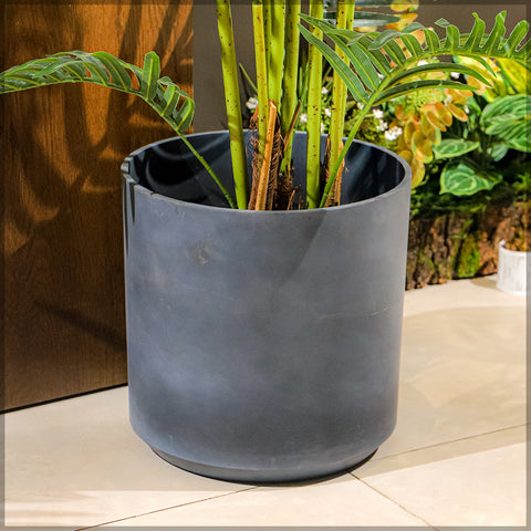 Modern gray plant pots