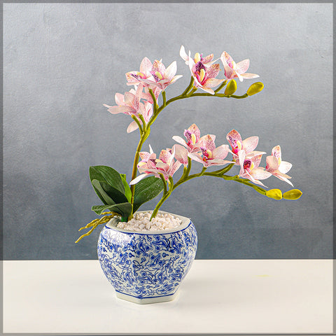 Orchid Arrangements in Chinese Vase