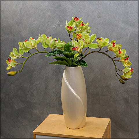 Green Orchid Arrangements