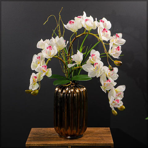 White Orchid Arrangements