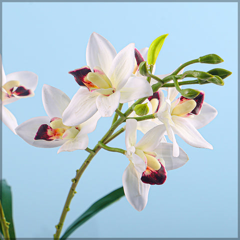 Artificial Cymbidium Orchid Plant