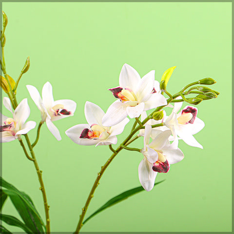 Artificial Cymbidium Orchid Plant