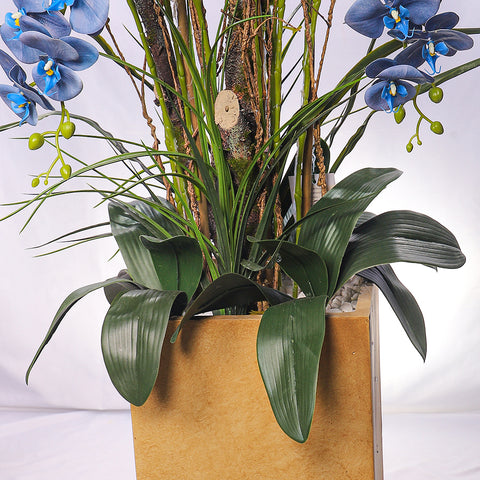 Natural Look Orchid Arrangements