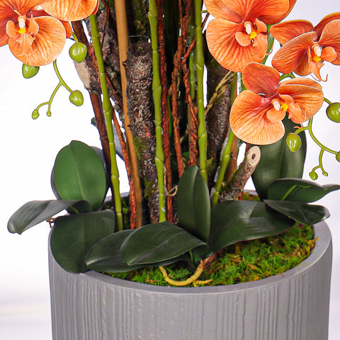 Natural Look Orchid Arrangements Orange