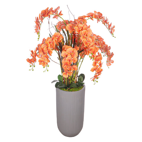 Natural Look Orchid Arrangements Orange