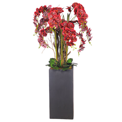 Natural Look Orchid Arrangements Dark Red