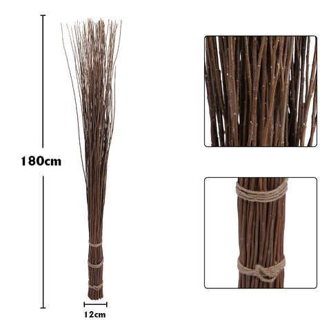 Dried Curly Twig Willow Floor Standing-DBC-8