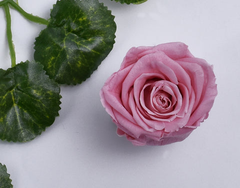 6CM Preserved Rose Flower