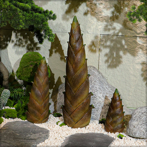 Decorative Bamboo Shoot Design for Landscape Arrangement