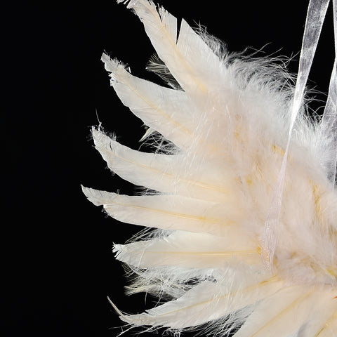 Decorative Fancy Real Feathers