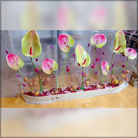 Decorative Flower Arrangements Anthurium