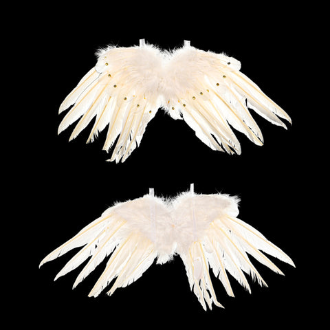 Decorative Real Feather Wings