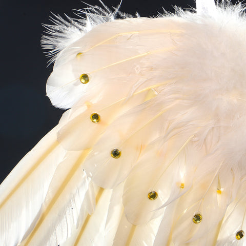 Decorative Real Feather Wings