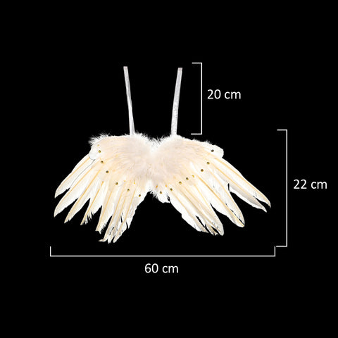 Decorative Real Feather Wings