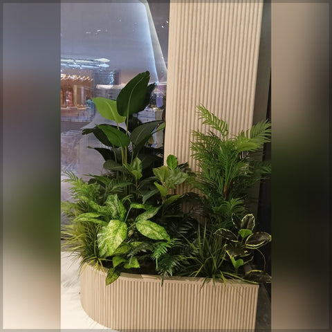 Different Plant Decoration