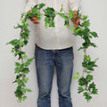 Hanging ivy vine decoration for rustic home interiors