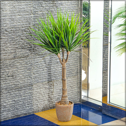 Artificial dracaena marginata plant