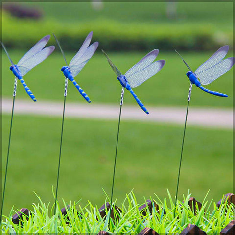 Colorful Dragonfly on Sticks-dragonfly